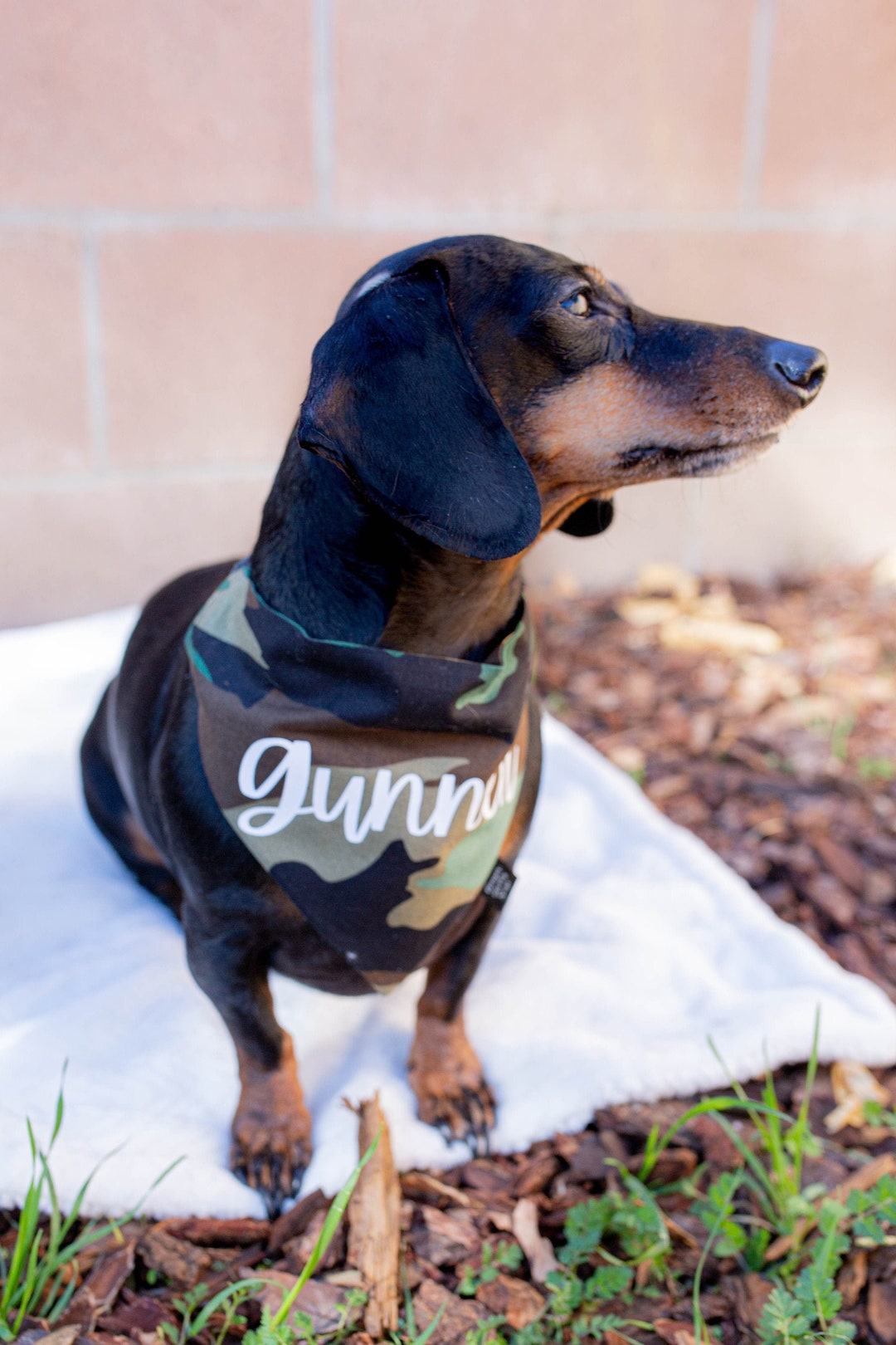 PERSONALIZED Camo Dog Bandana, Over the Collar Bandana, Camo Dog