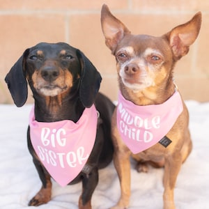 Große Schwester Hundehalstuch, Schwangerschaft Ankündigung Hundehalstuch, Baby Ankündigung Hundehalstuch, süße Schwangerschaft Ankündigung Idee mit Hunden