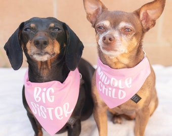 Big Sister Dog Bandana, Pregnancy Announcement Dog Bandana, Baby Announcement Dog Bandana, Cute pregnancy announcement idea with dogs