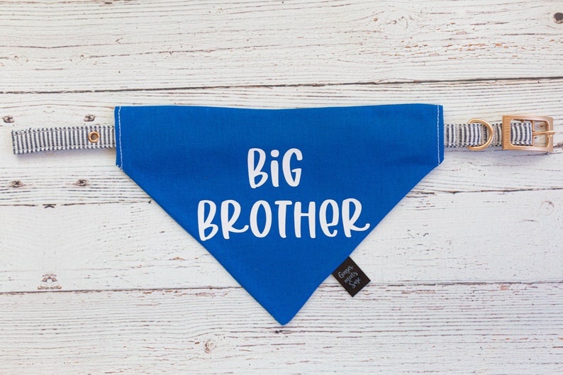 Big Brother Over the Collar Dog Bandana, Cute Pregnancy announcement idea with dog, Pregnancy announcement dog bandana, big brother dog image 7