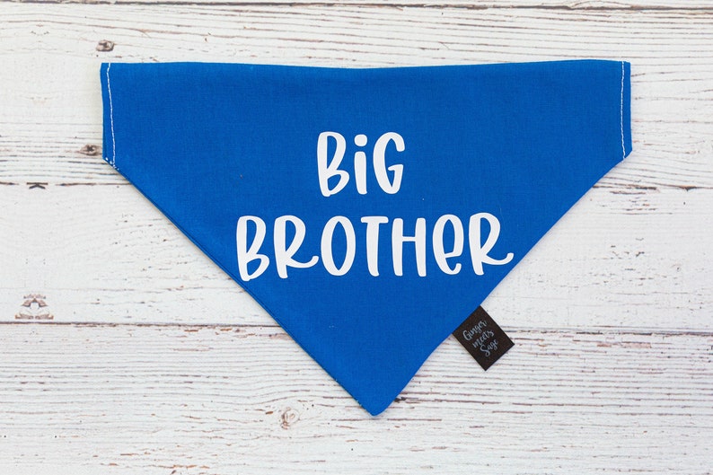 Big Brother Over the Collar Dog Bandana, Cute Pregnancy announcement idea with dog, Pregnancy announcement dog bandana, big brother dog image 5