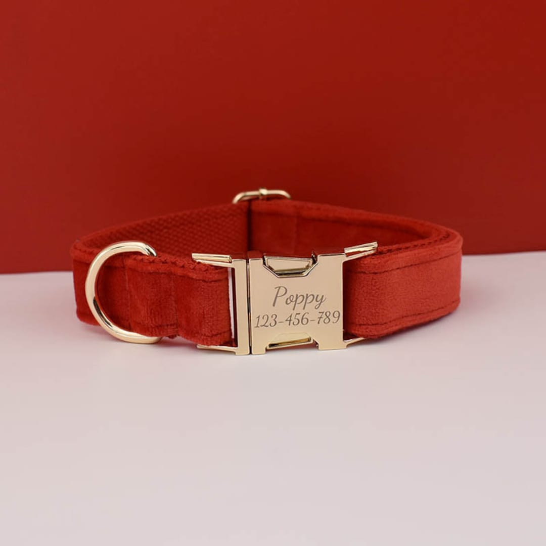 Luxury Dog Collar and Leash Set - Candy Red Velvet Collar, Luxury Velvet  Cheetah Leash.