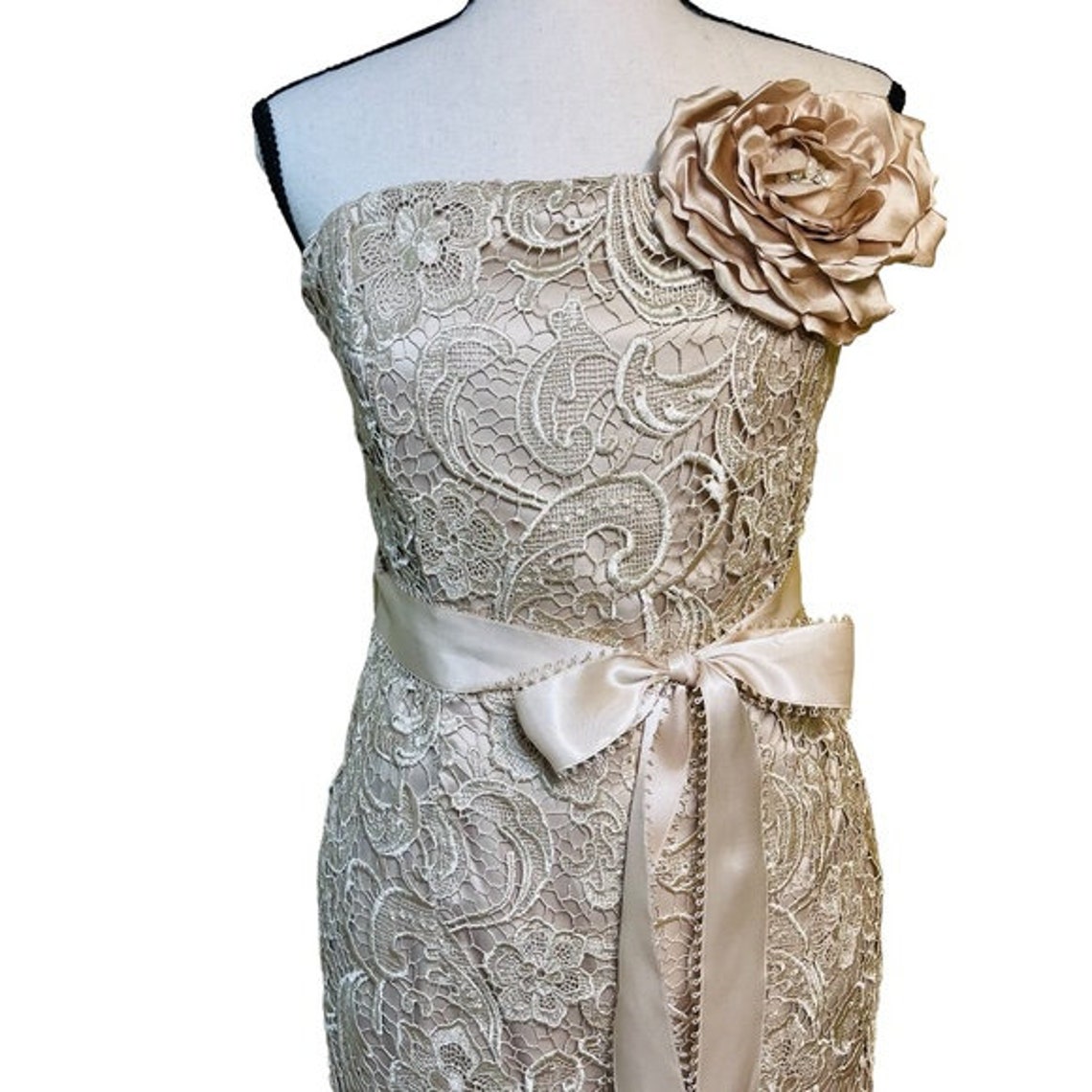 Cabochon Lace Dress