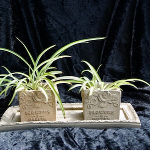 Concrete Rusty Planter with Plate Art Home Decor Garden Accessories