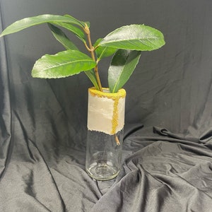 Concrete Vase with glass base - Flower Pot - Home Decor