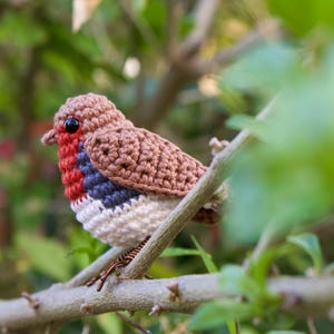 Robin Crochet Pattern - Bird Amigurumi Pattern image 8
