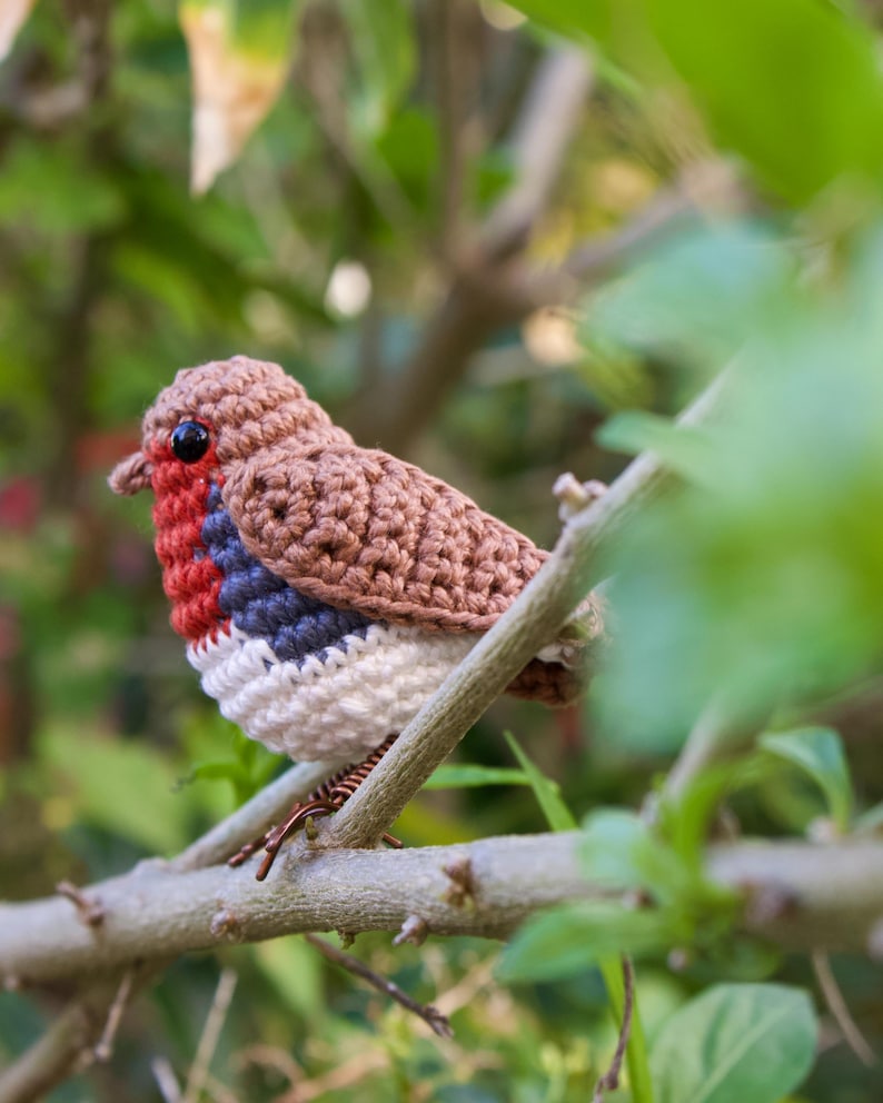 Robin Crochet Pattern - Bird Amigurumi Pattern image 8