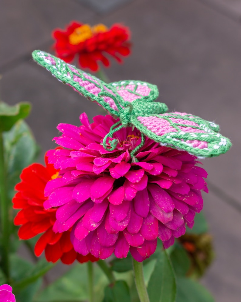 Butterfly Amigurumi Crochet Pattern - Monarch Butterfly Crochet Pattern image 8
