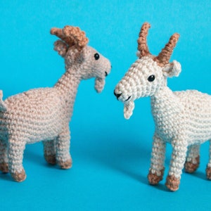 May include: Two crocheted goat plushies, one beige and one white, standing on a blue background. Both goats have brown yarn for their horns and faces.