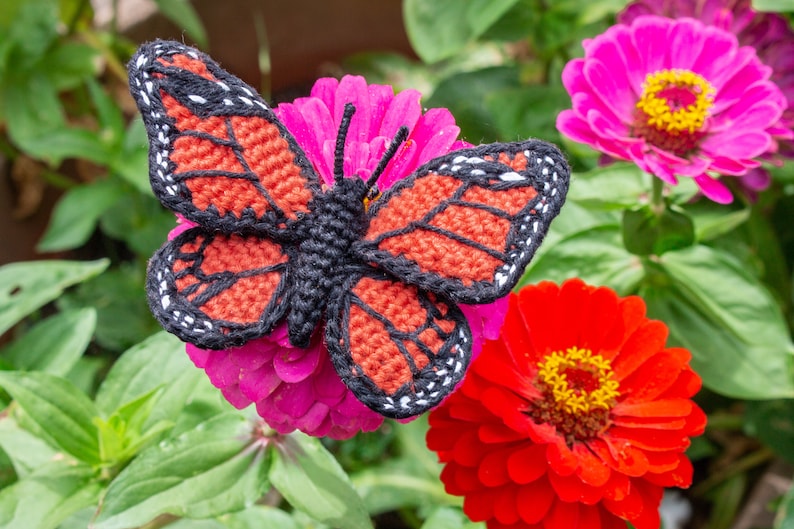 May include: A crocheted butterfly with black, red, and white accents is perched on a pink zinnia flower. The butterfly is a popular craft project and a great addition to any home decor.