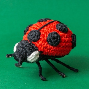 Puede incluir: Una mariquita hecha a mano con ganchillo, con un cuerpo rojo vibrante y manchas negras. La mariquita tiene patas, antenas y una cabeza negras con detalles blancos. La artesan&iacute;a se encuentra sobre un fondo verde.