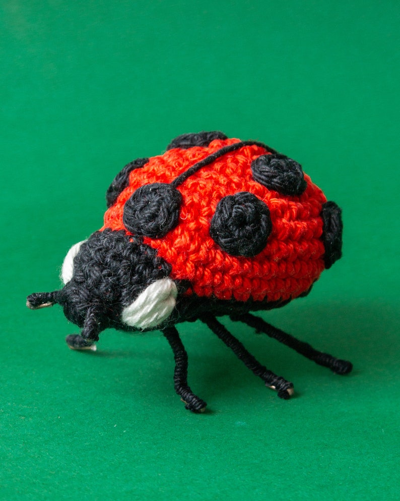 Puede incluir: Una mariquita hecha a mano con ganchillo, con un cuerpo rojo vibrante y manchas negras. La mariquita tiene patas, antenas y una cabeza negras con detalles blancos. La artesan&iacute;a se encuentra sobre un fondo verde.