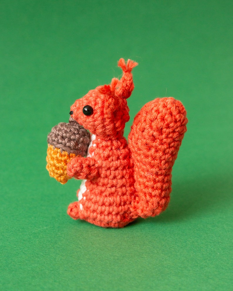Squirrel Amigurumi Pattern Squirrel Crochet Pattern image 6