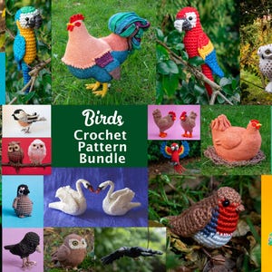 May include: A collection of various crocheted bird figures including parrots, roosters, owls, swans, and a peacock. The central text reads Birds Crochet Pattern Bundle. The figures feature diverse colors like red, blue, yellow, brown, and white.