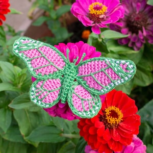 May include: A crocheted butterfly with pink and green wings, resting on a pink and red flower.
