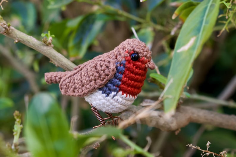 Robin Crochet Pattern - Bird Amigurumi Pattern image 7