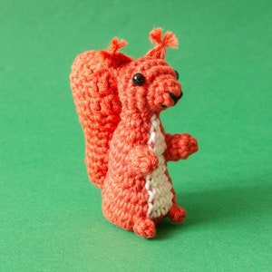 Squirrel Amigurumi Pattern Squirrel Crochet Pattern image 8