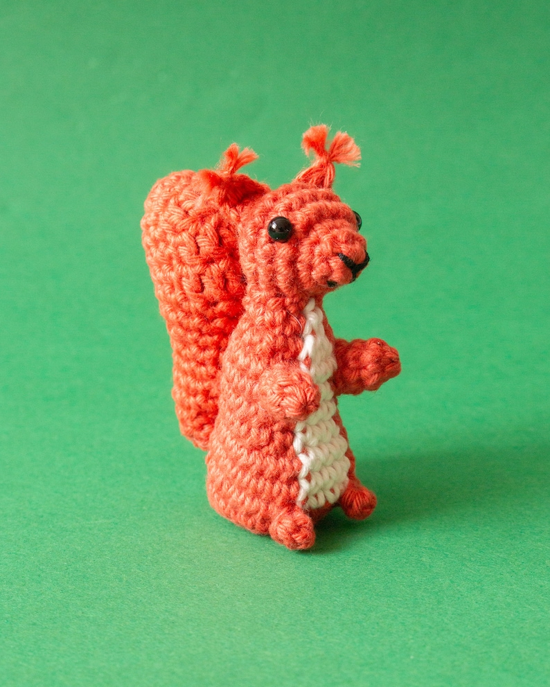 Squirrel Amigurumi Pattern Squirrel Crochet Pattern image 8