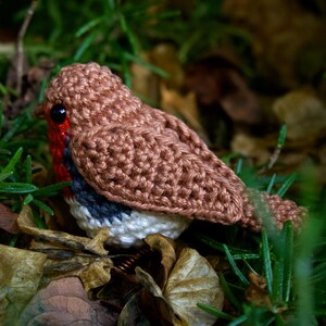 Robin Crochet Pattern - Bird Amigurumi Pattern image 4