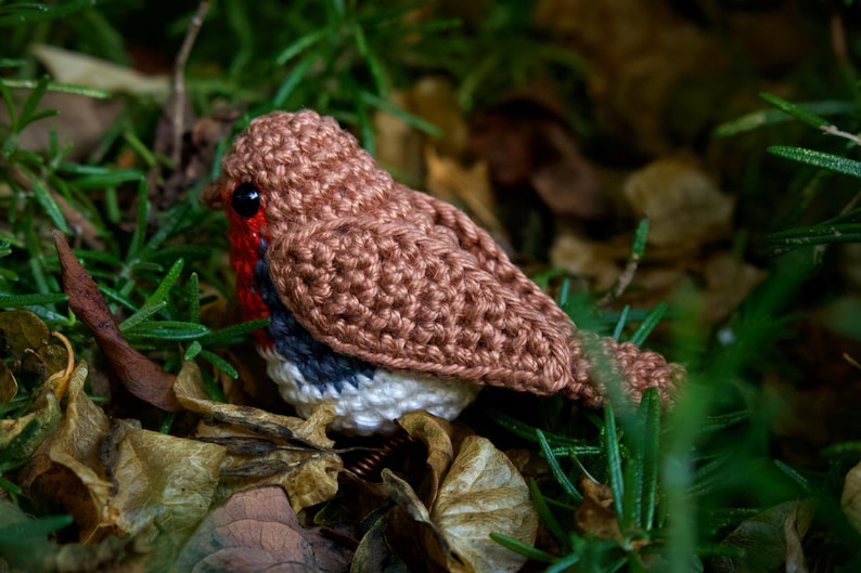 Robin Crochet Pattern - Bird Amigurumi Pattern image 4
