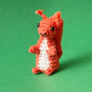 Squirrel Amigurumi Pattern Squirrel Crochet Pattern image 10