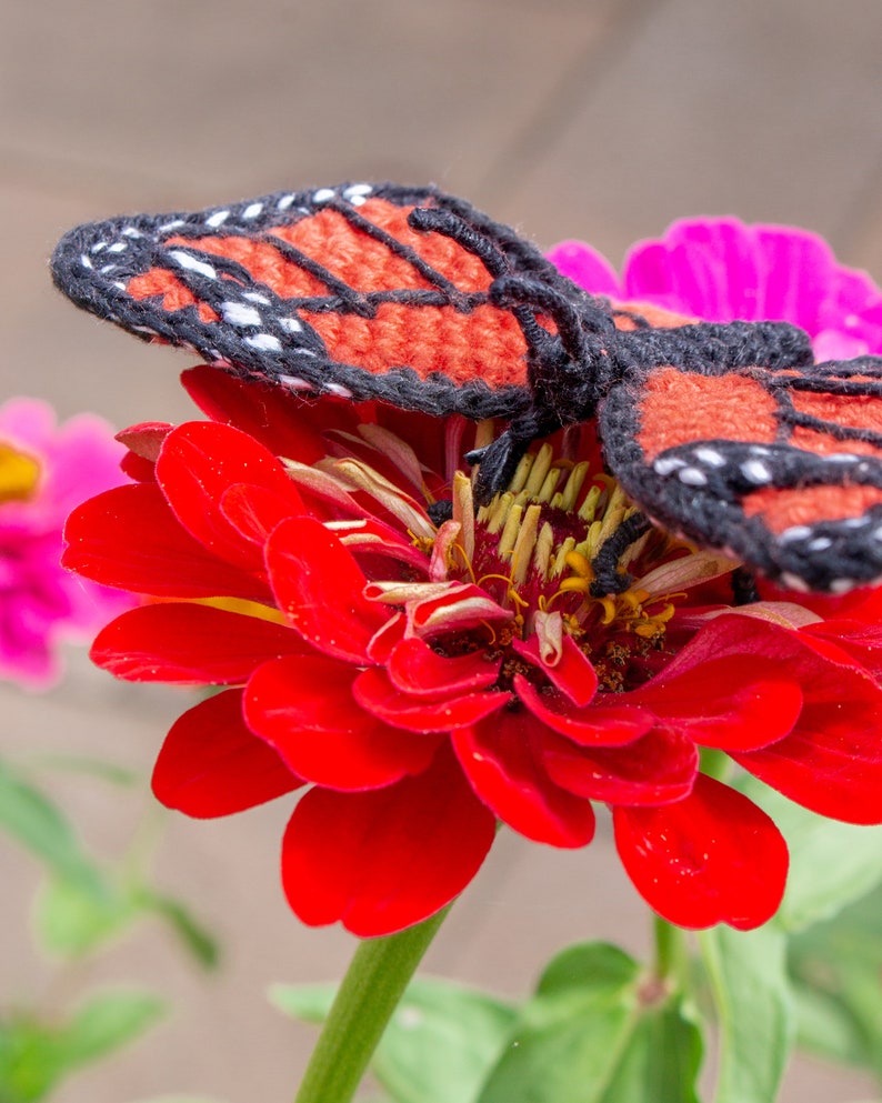 Amigurumi-Häkelanleitung für Schmetterlinge Häkelanleitung für Monarchfalter Bild 5