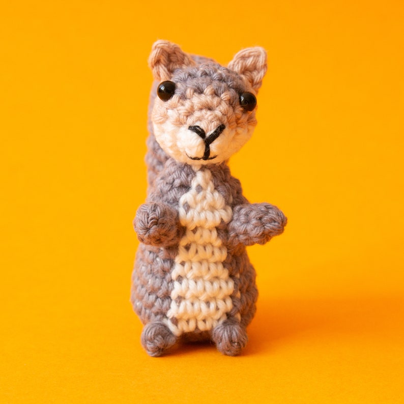 Squirrel Amigurumi Pattern Squirrel Crochet Pattern image 2