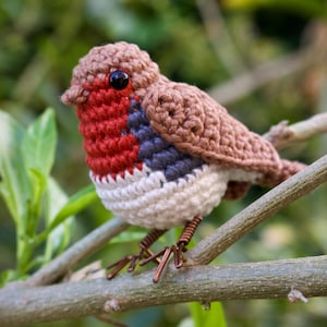 Robin Crochet Pattern - Bird Amigurumi Pattern image 2