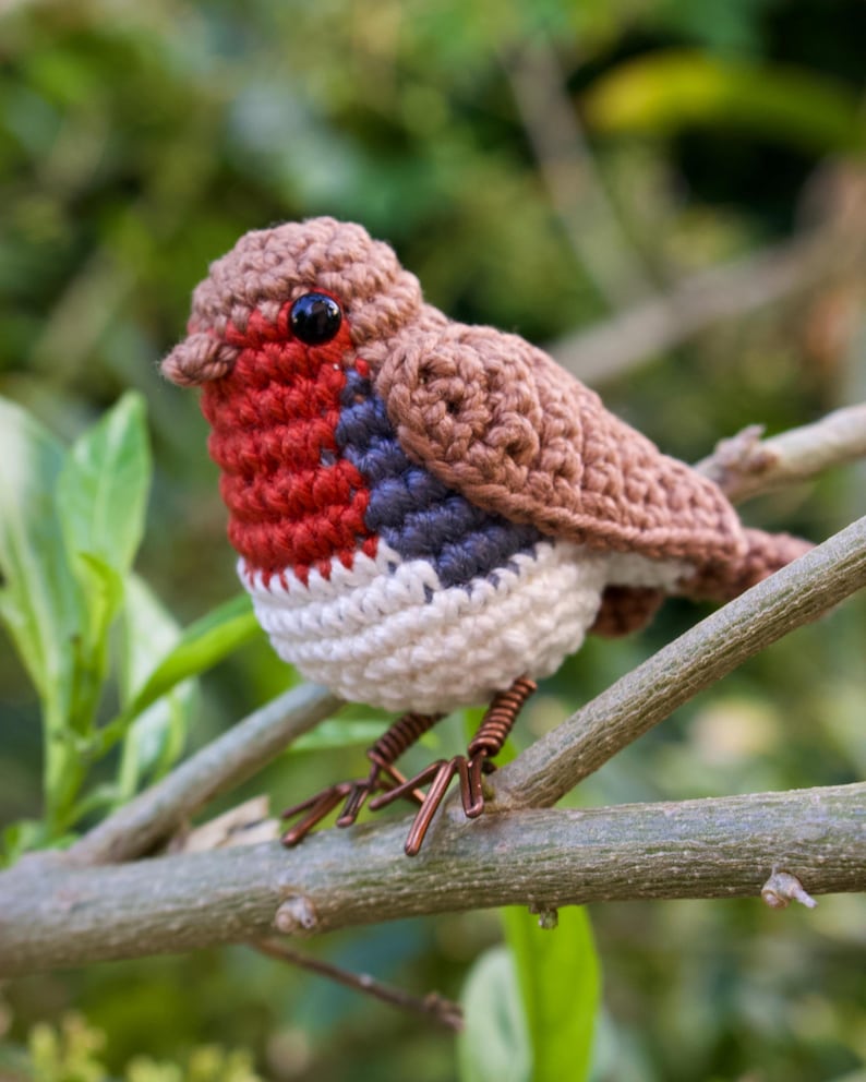 Robin Crochet Pattern - Bird Amigurumi Pattern image 2