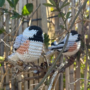 Chickadee Crochet Pattern - Realistic Bird Amigurumi Pattern - Etsy