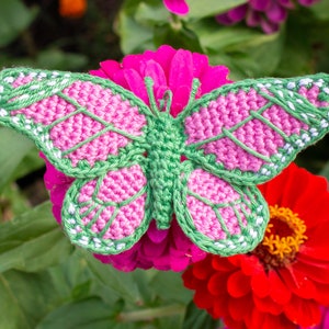 May include: A crocheted butterfly with pink and green wings, sitting on a pink and red flower.