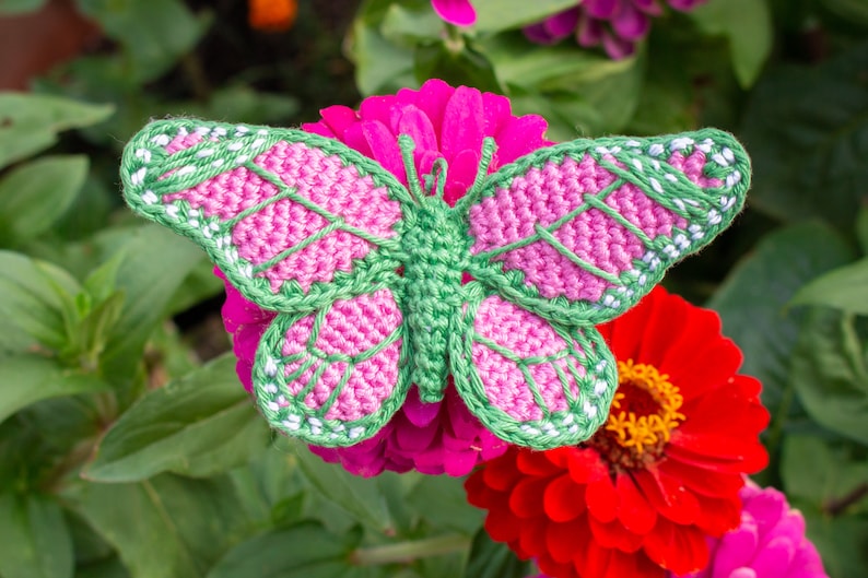 May include: A crocheted butterfly with pink and green wings, sitting on a pink and red flower.
