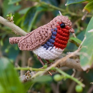 Robin Crochet Pattern - Bird Amigurumi Pattern image 3