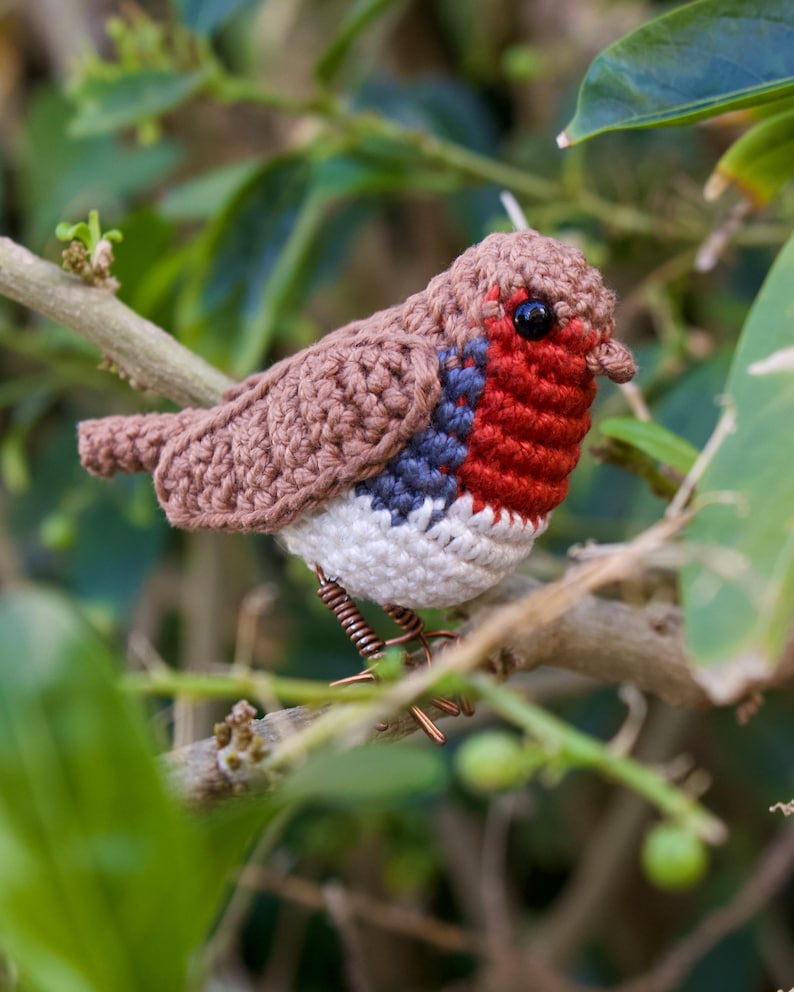 Robin Crochet Pattern - Bird Amigurumi Pattern image 3