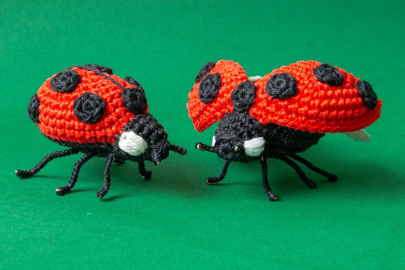 Puede incluir: Dos mariquitas hechas a mano con ganchillo. Las mariquitas tienen cuerpos rojos con manchas negras y cabezas negras. Tienen patas negras y detalles blancos en sus caras. Las mariquitas se exhiben sobre un fondo verde.