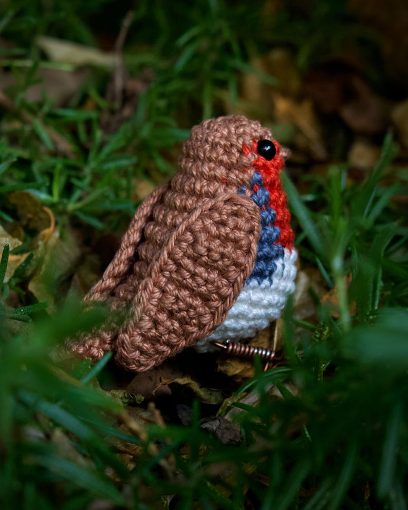 Robin Crochet Pattern - Bird Amigurumi Pattern image 5