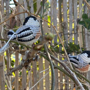 Chickadee Crochet Pattern - Realistic Bird Amigurumi Pattern - Etsy