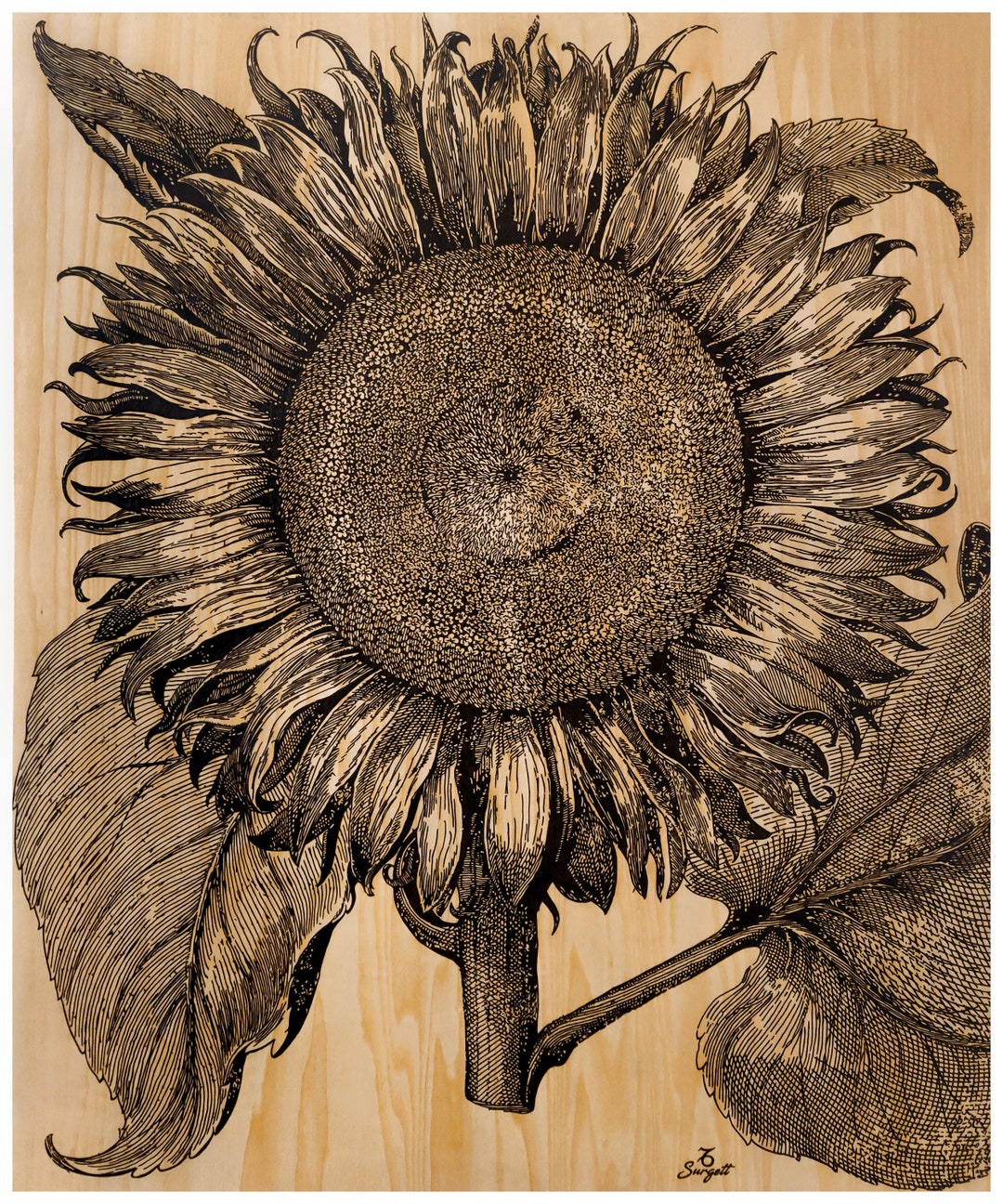 Sunflower Woodburning Print - Etsy