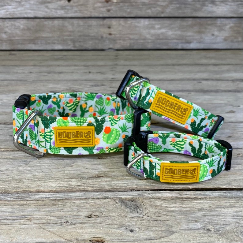 Oh My Succulents Dog Collar cactus house plants Water Etsy