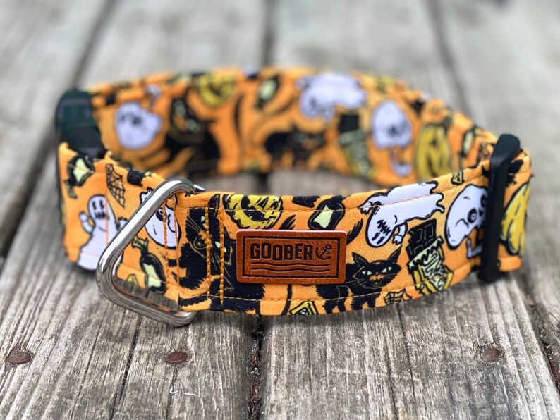 Halloween Martingale CollarGreyhound Collar Spooky Night