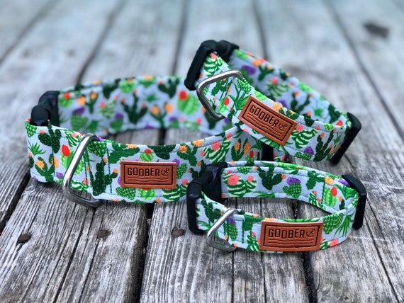 goober dog collar