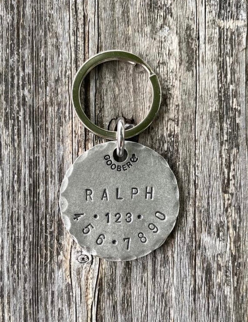 Oh My Succulents Dog Collar cactus house plants Water Etsy