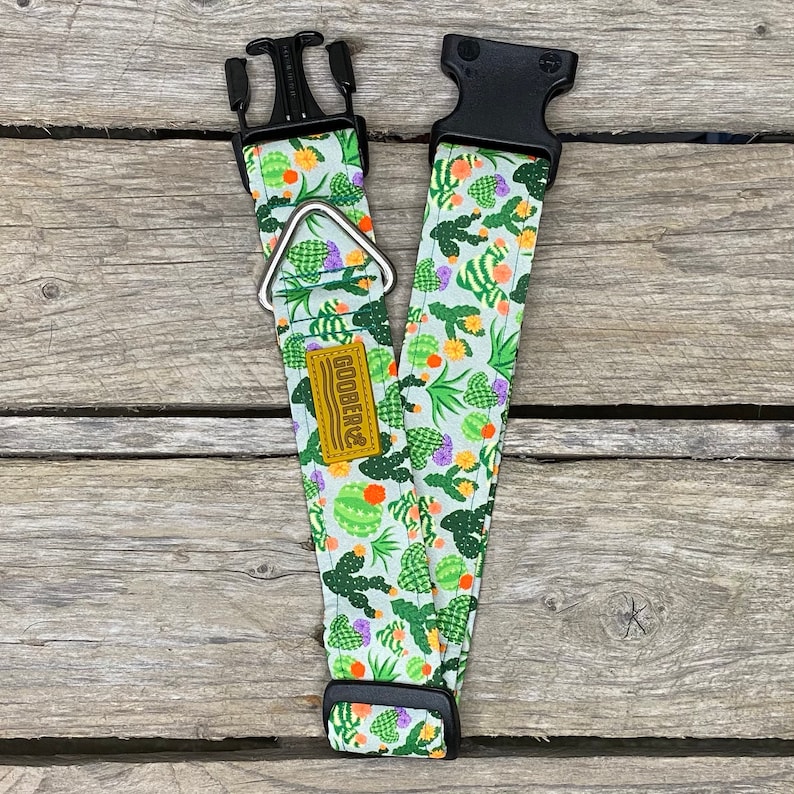 Oh My Succulents Dog Collar cactus house plants Water Etsy