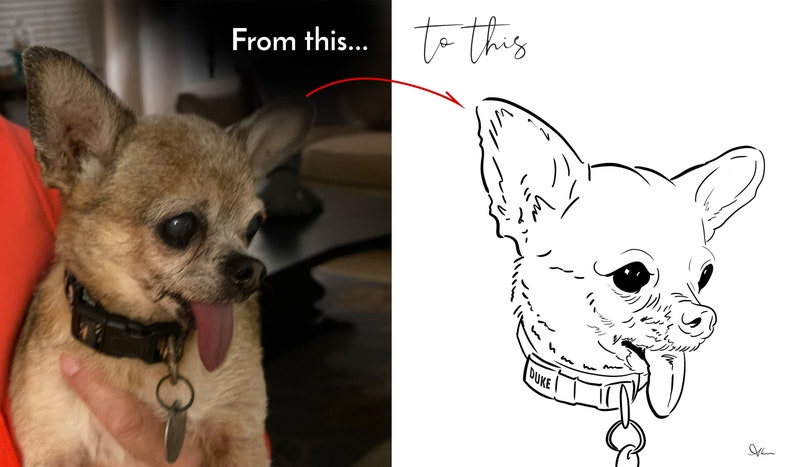 May include: A side-by-side comparison of a Chihuahua dog. The left side shows a color photograph of the dog with its tongue out. The right side is a black and white line drawing of the dog with the text "From this... to this". The dog wears a collar that says "DUKE".