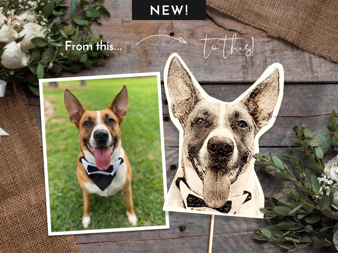 pet-photo-booth-prop-fun-reception-decor-digital-download-unique-pet