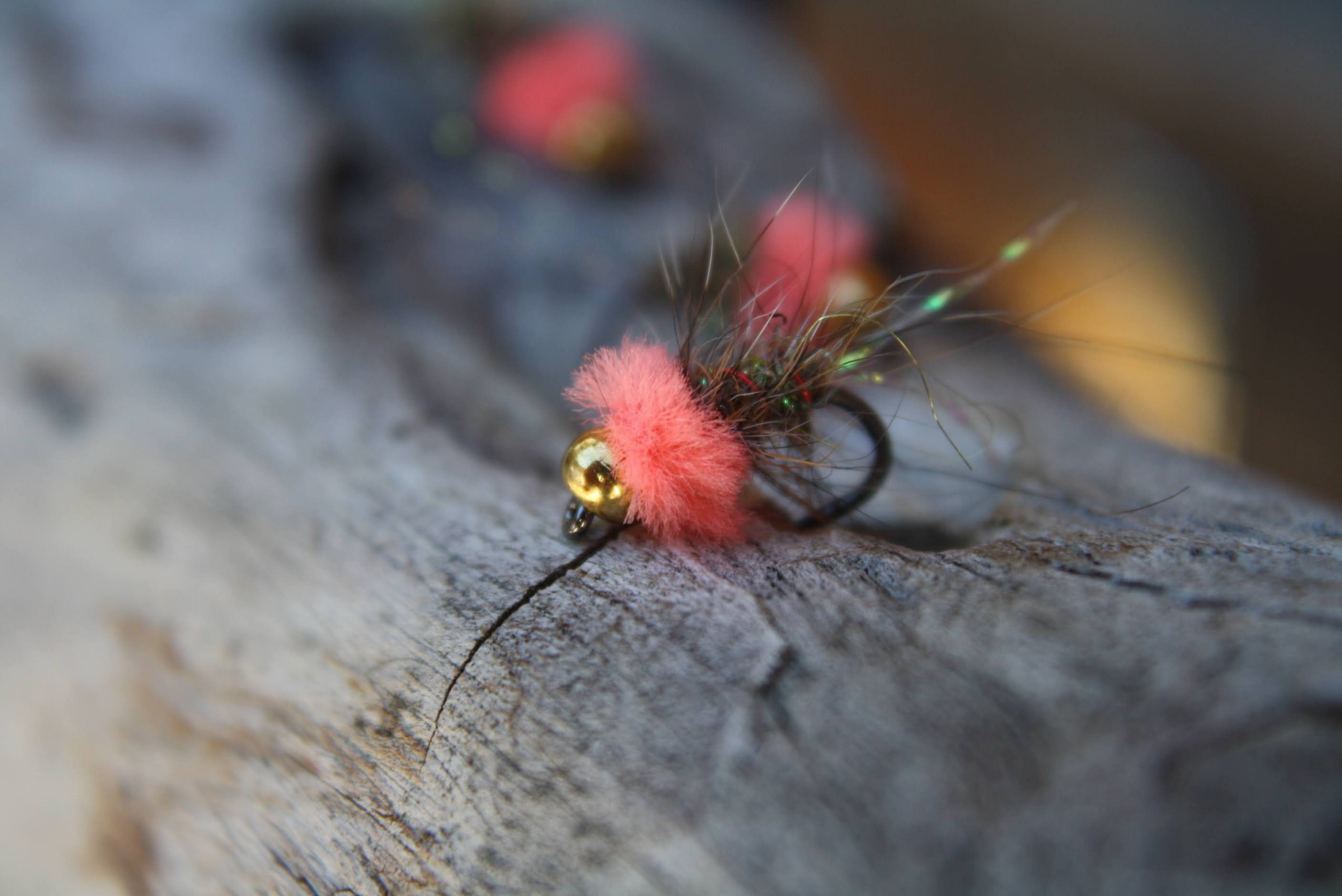 Pink Squirrel Nymph: Best Trout Flies for Driftless Area -  Norway