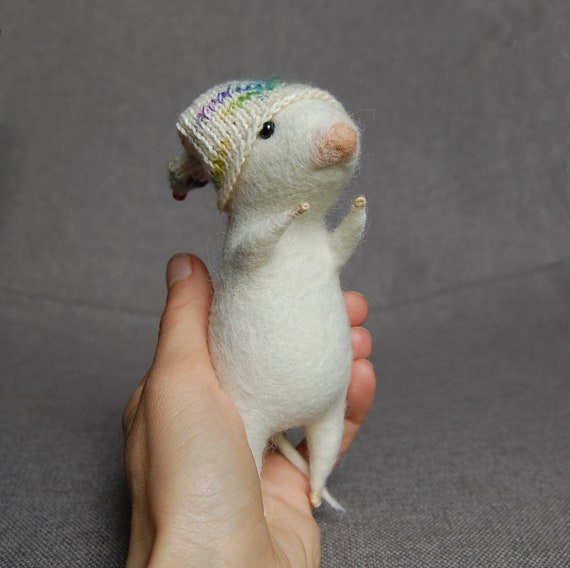 little mouse pet