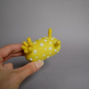 Phyllidia flava Species of sea slug Dorid nudibranch Sea Slug Wool Needle felted toy Kawaii Animal