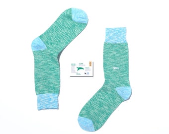 Turtle organic cotton, eco friendly, green and blue animal socks