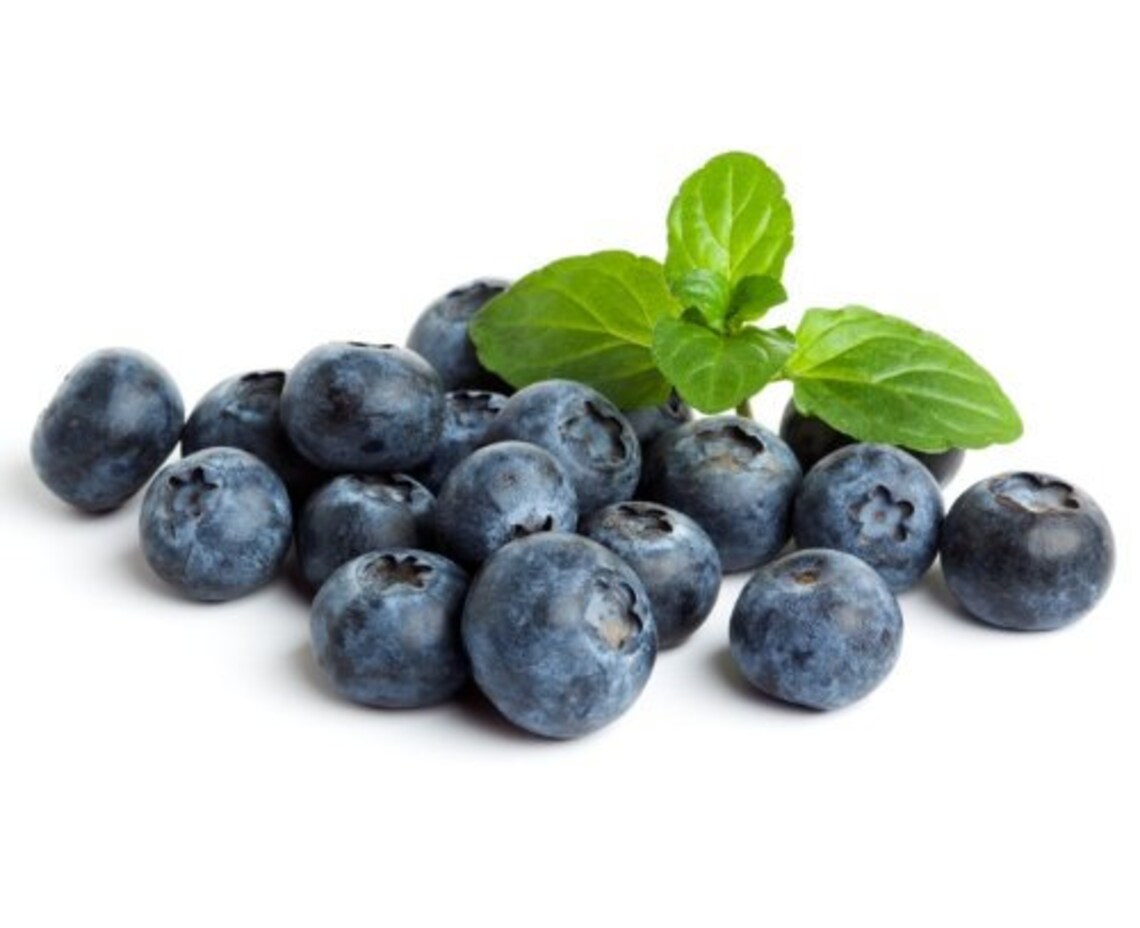 Fresh BLUEBERRY JELLY 1/2 Pint 8 oz. I Have 3 Sizes Etsy